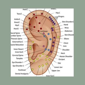 Bild zu Ohrtherapie, Kurs 1