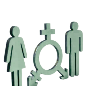 Bild zu Gendermedizin – Brücken bauen in der Gesundheitsversorgung